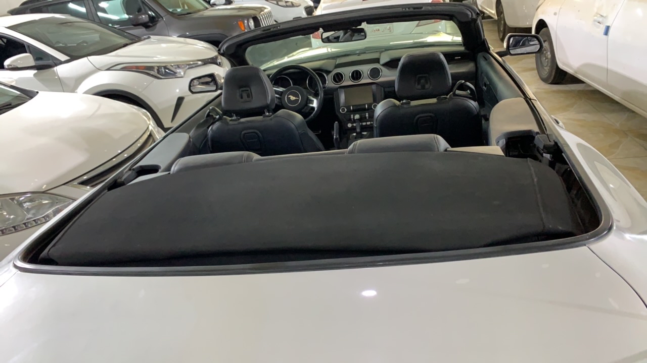 فۆرد مۆستانگ